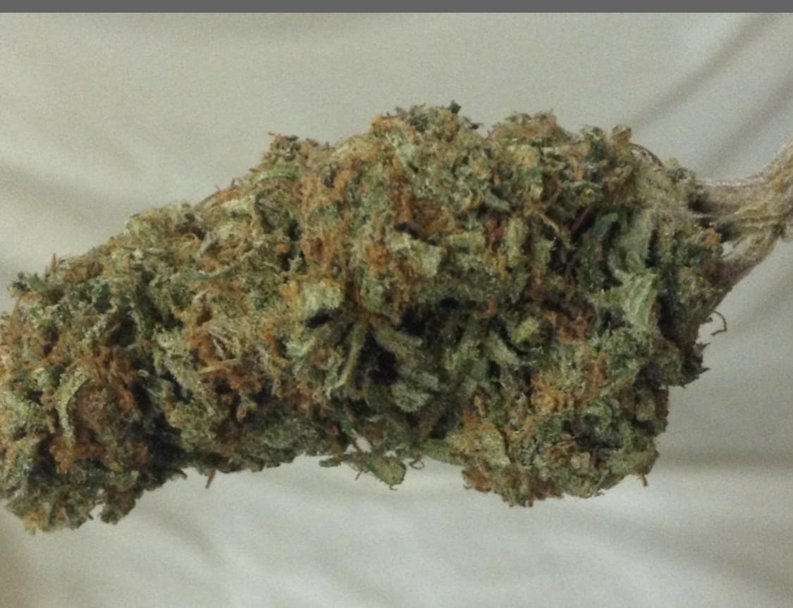 Magic Dragon
