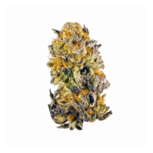 Acai Berry Gelato | HYBRID