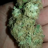 Alien Kush