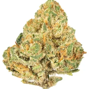 Alien OG