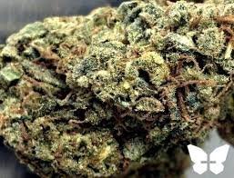Amnesia Haze