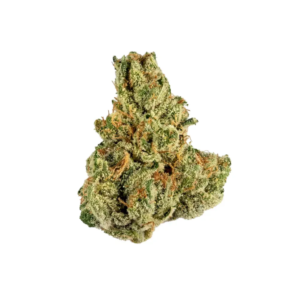 Amnesia Haze | SATIVA