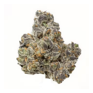 Apple Fritterz | HYBRID
