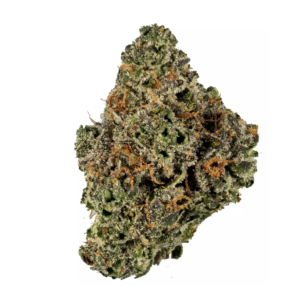 BISCUITII GRUNTZ | INDICA