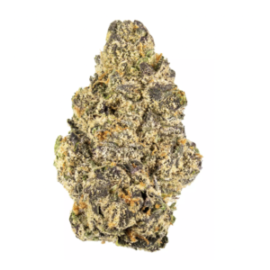 BLUE ZUSHI | HYBRID
