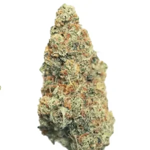 Blue Monkey