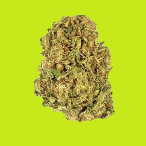 Blueberry Land