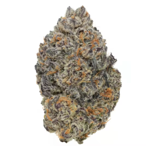 Candy Biskante | HYBRID