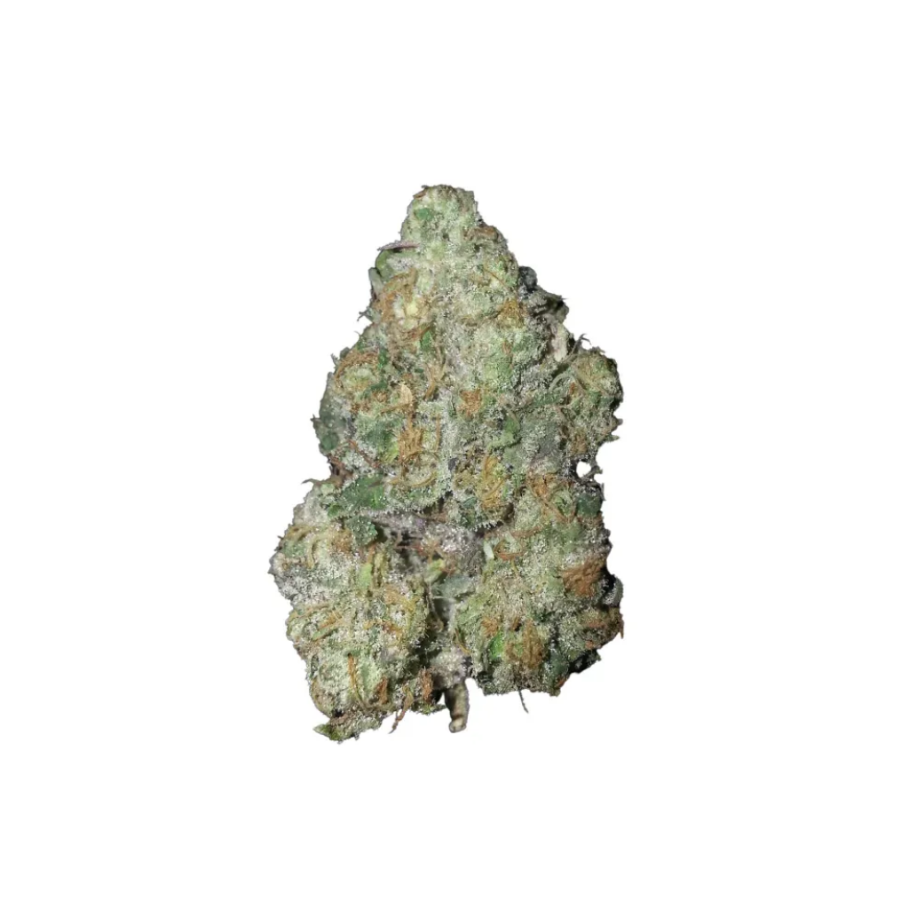 Cookie Glue | HYBRID