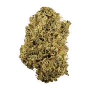 Durban Poison | SATIVA