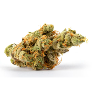 French Cookies | SATIVA