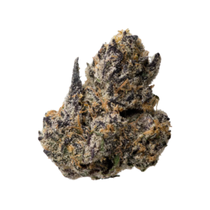 GUAVA ZOAPY | INDICA