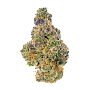 Gelato Cream Pie | HYBRID