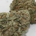 Green Crack