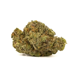 Guava Runtz | HYBRID
