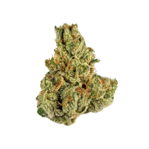 Jet Fuel | HYBRID