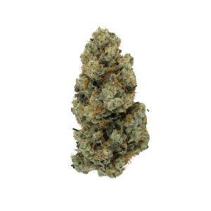 KUSH MINTZ | HYBRID