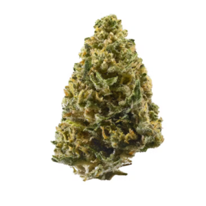 Northern Lights | Indica