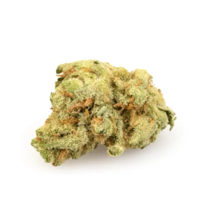 Papaya Punch | HYBRID