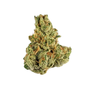 Purple Jolly Rancher | HYBRID