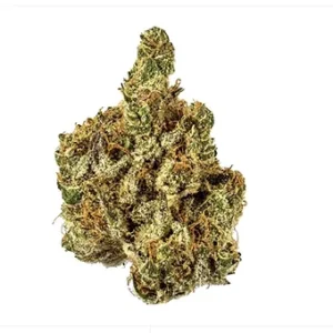 Royal Cookies - Hybrid Strain