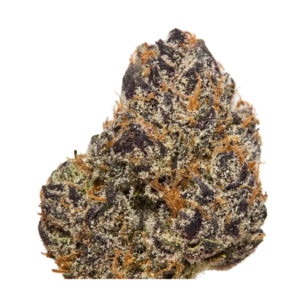 SHERB CREAM PIE | HYBRID