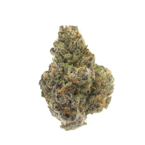STRAWBERRY CHERRY GELATO | SATIVA