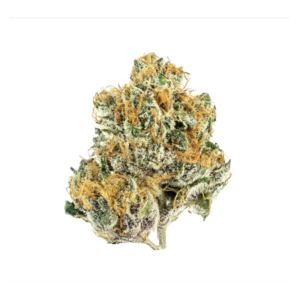 STRAWBERRY COUGH | SATIVA