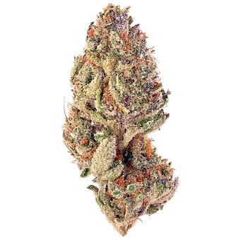 Sorbet
