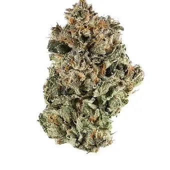 Sunset Sherbert