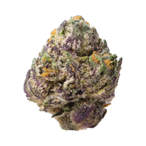 Tropical Gelato | SATIVA