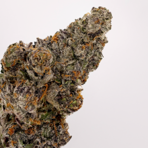 WHITE ZERBERT | HYBRID