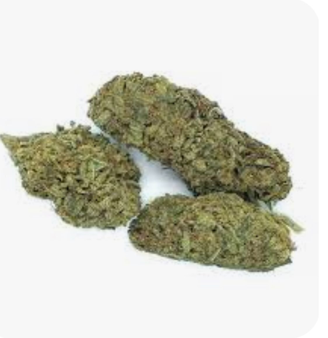 Purple punch